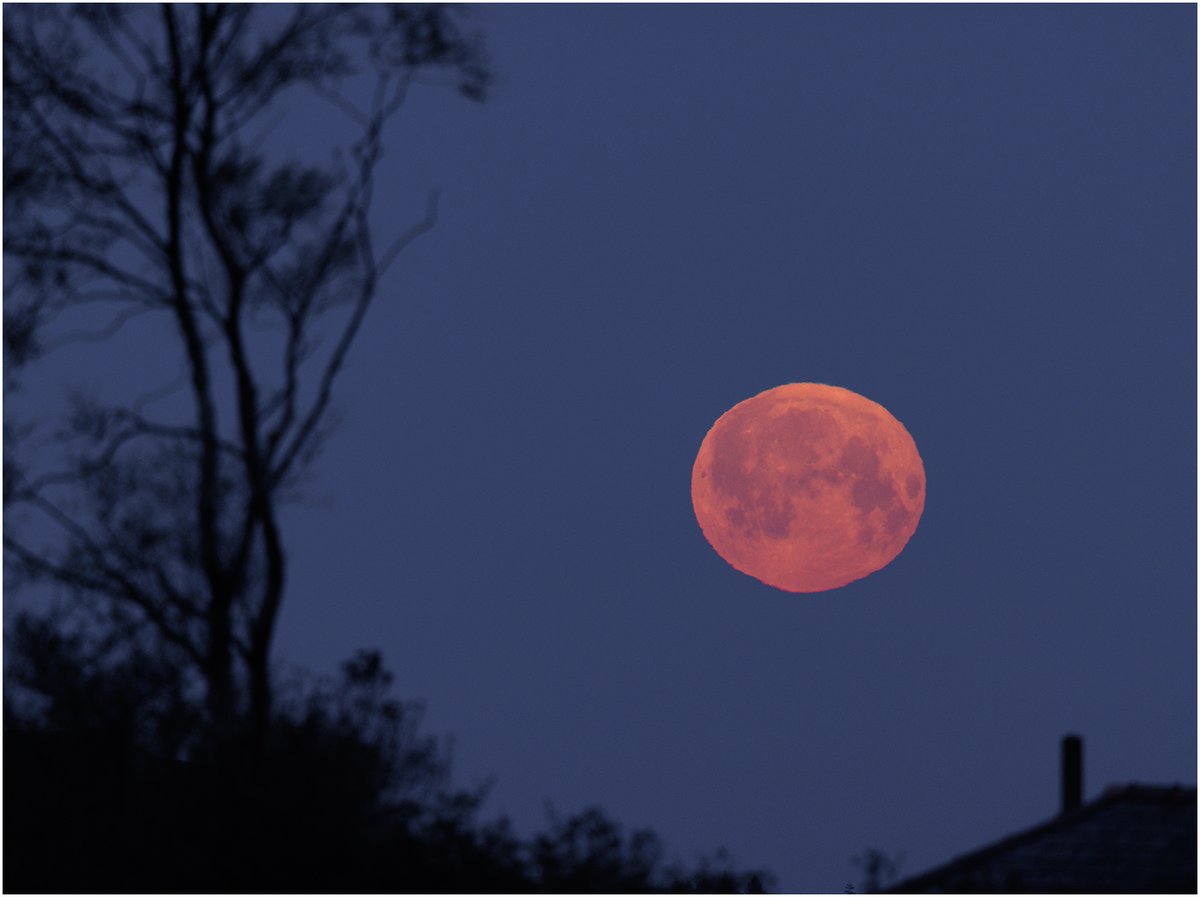 .@DerekTheWeather @BBCWalesNews  This mornings full moon setting. Taken at Manod, Blaenau Ffestiniog. Focal length 700mm