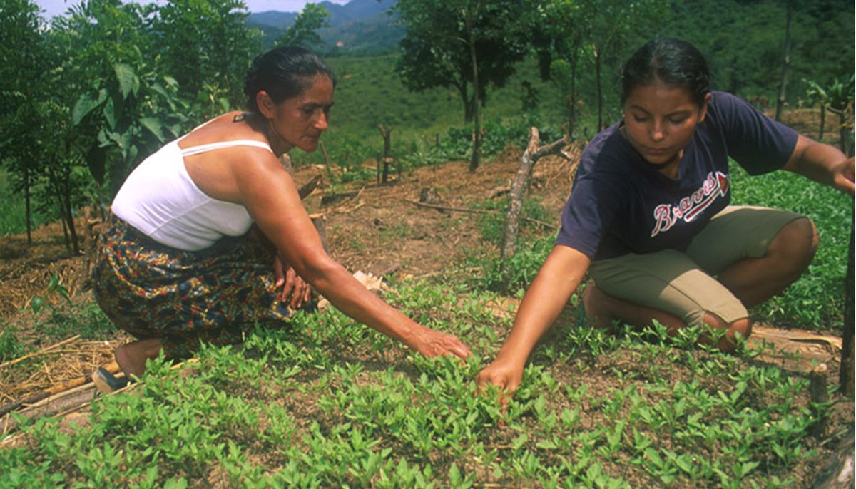 Cuando las mujeres ejercen sus derechos en la:

🌱 restauración
🌲 conservación
💧 gestión de la tierra

se convierten en una fuerza poderosa #PorLaNaturaleza.

¡Es hora de apostar a la #GeneraciónIgualdad!