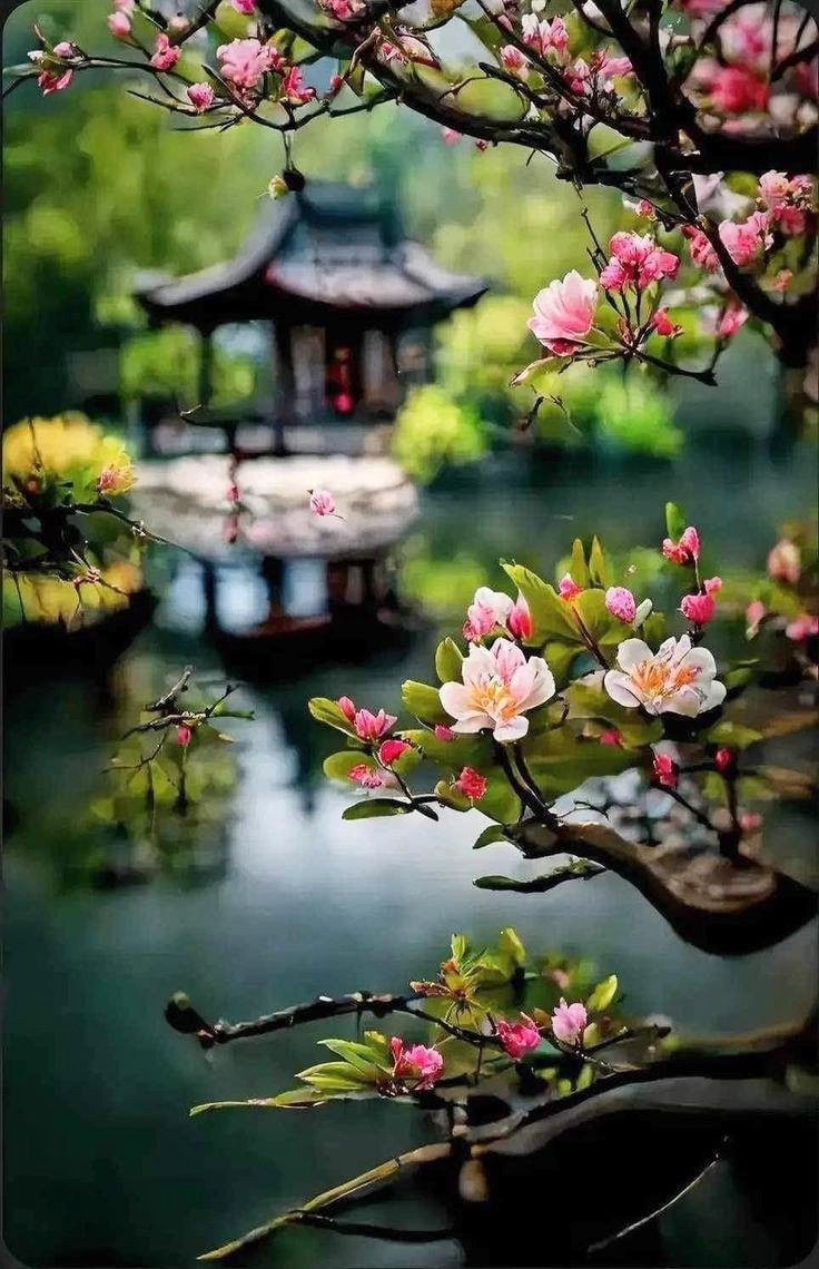 "The path to enlightenment begins with an open mind."

Have a harmonious day! 🩷