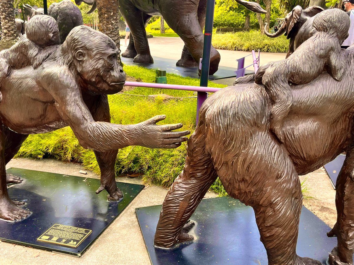 What in the name of sculpture art is going on here???
#GardensByTheBay
#Singapore
#MonkeyBusiness