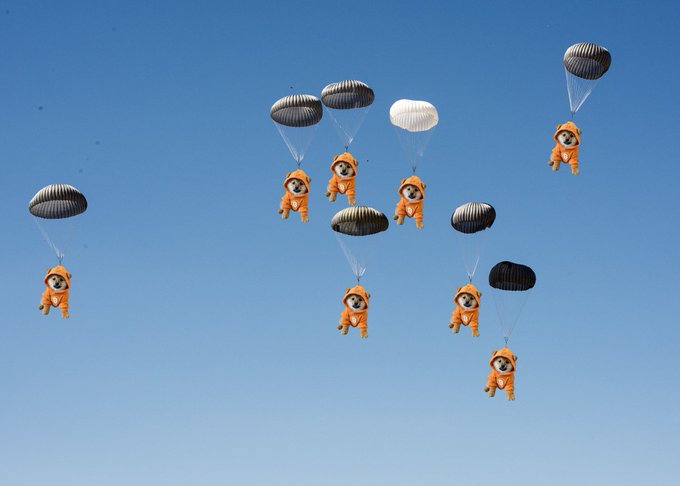 <a href="/LeonidasNFT/">Leonidas 🧡 $DOG</a> <a href="/Tasties_Shill/">Tasties Shill</a> Whitelist wallet for the Runestone $DOG Airdrop 🔥

This is your absolute last chance to whitelist if you want get the Rune #3 DOG•GO•TO•THE•MOON airdrop!

Get it now: get-dog.dog

Make sure to use your main wallet to participate - your wallet gets snapshot📸