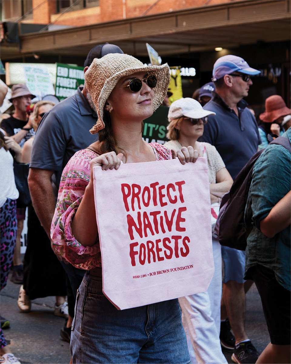 🌳 Show your support for the protection of native forests with this tote bag designed by Australian artist Minna Leunig. The bag can be yours when you pledge towards our urgent crowdfunder to #EndNativeForestLogging now ➡️ ow.ly/R6Sg50RjvQp