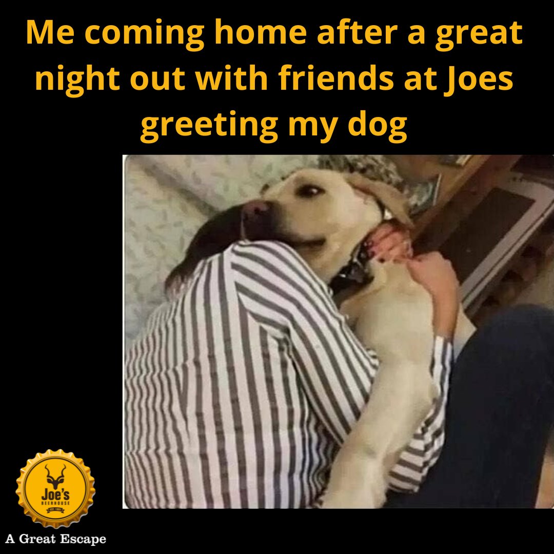 This is the kind of #greatescape I need.
Happy hump day! You made it through half of the week.

#wittywednesday #joesbeerhouse #beeroclock