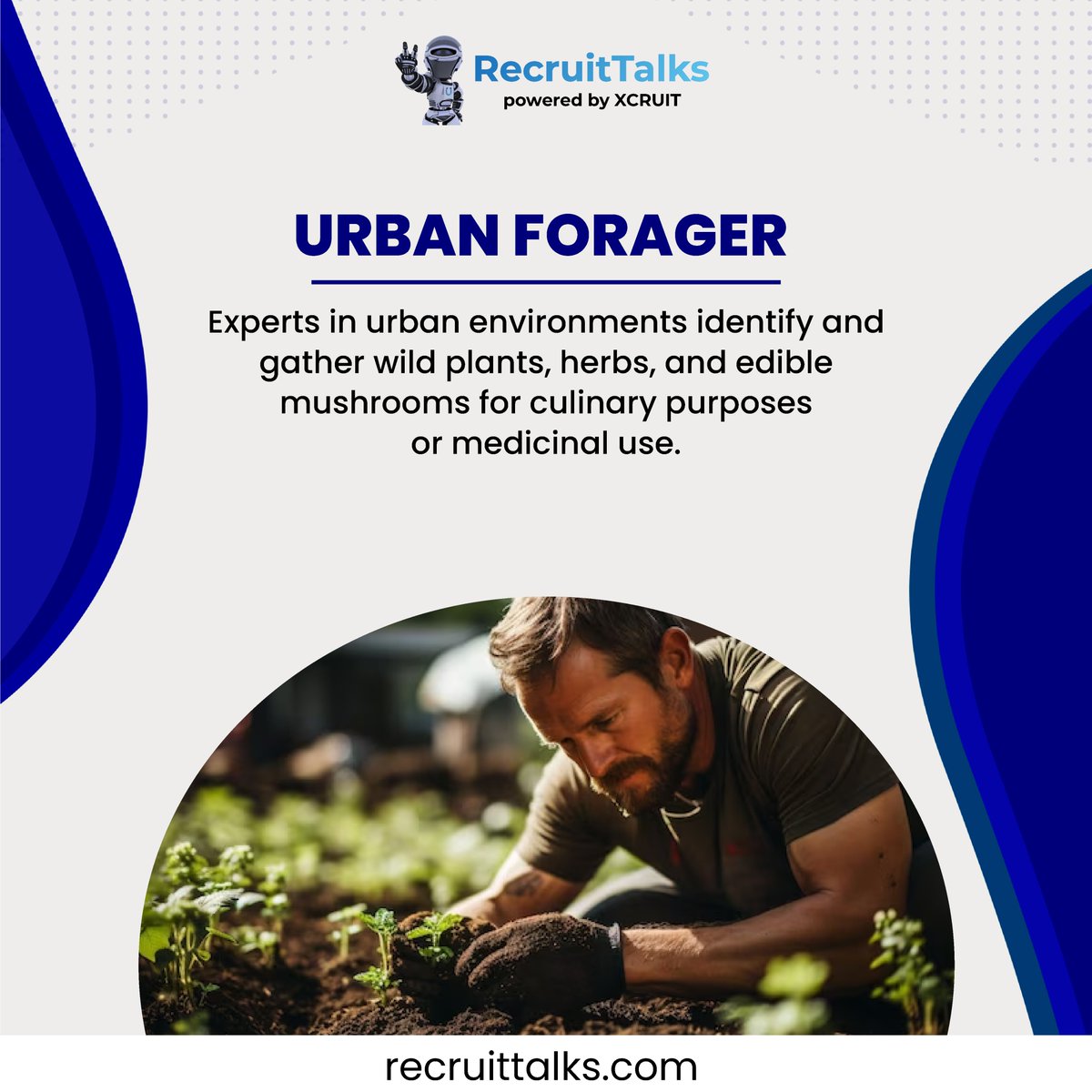 Where city streets meet forest trails: The captivating world of urban foraging!
.
.
#Recruitorr #IAmRecruitorr #RecruitResearch #UniqueJobs #InterestingFacts