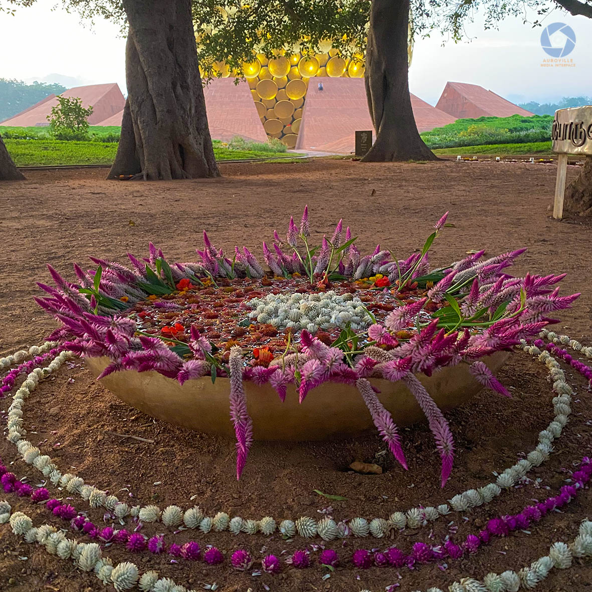 AurovilleMedia tweet picture