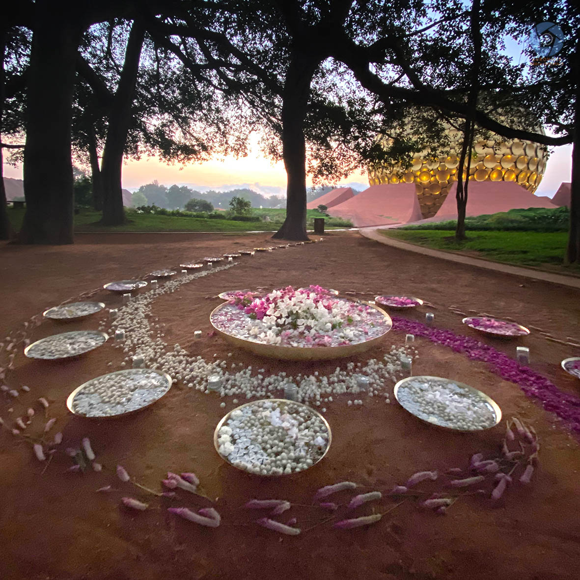 AurovilleMedia tweet picture