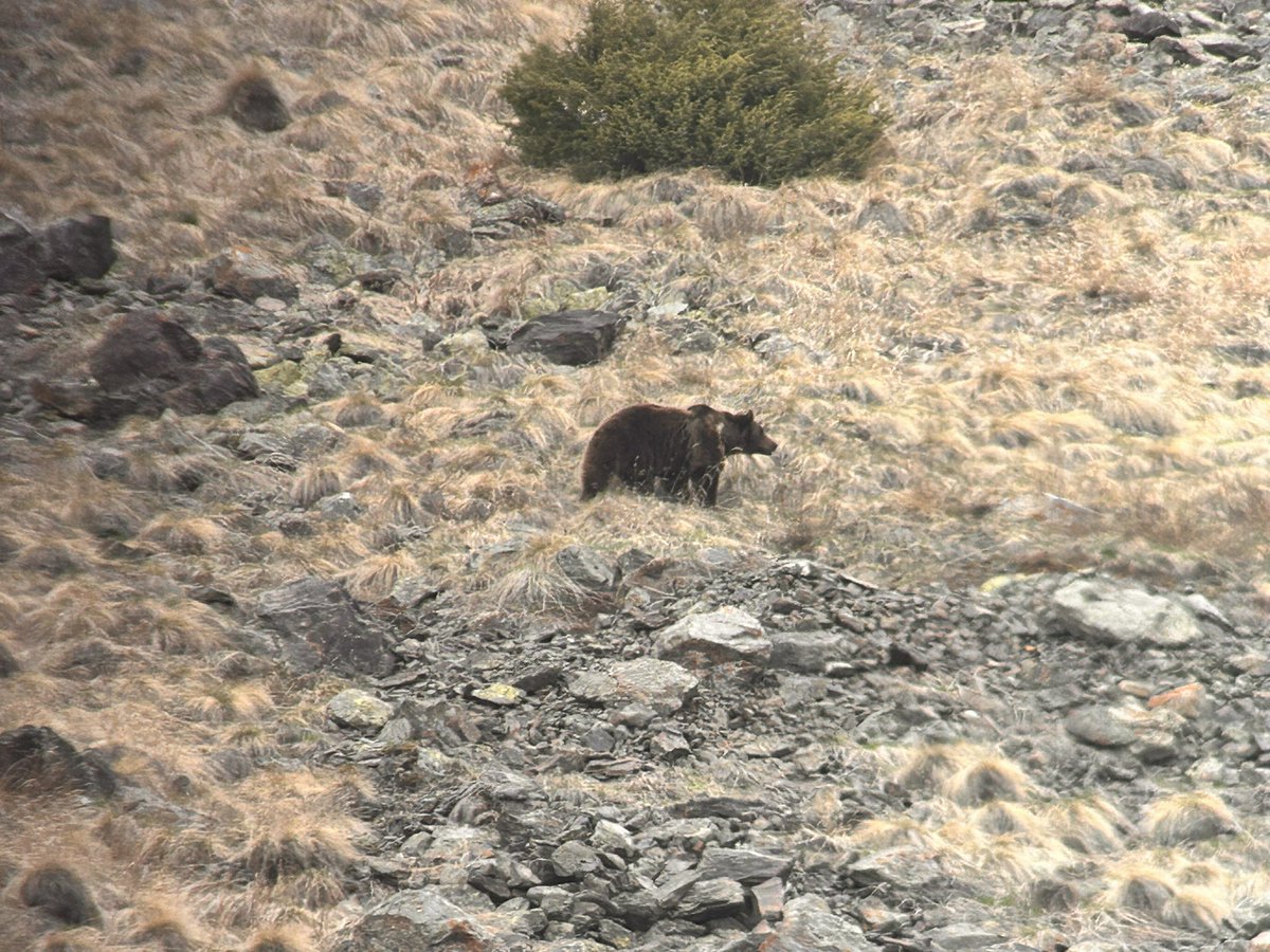 Dylan M. Edwards tweet media