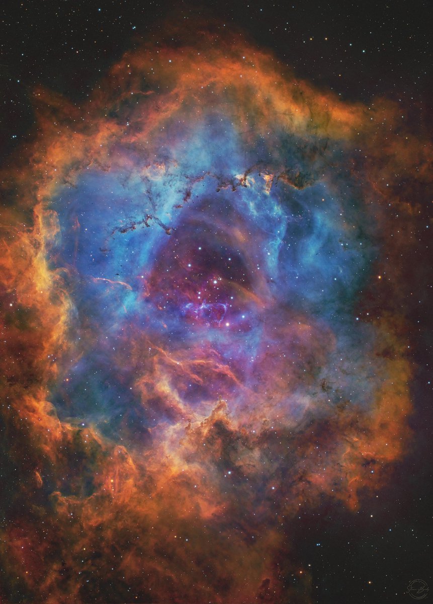 NGC2244 Rosette Nebula in Monoceros constellation by 📷 Steeve Boody