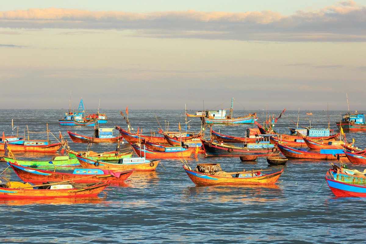 Would you like to experience the tranquility of Vietnam's coastal life? These boats paint a serene picture of Vietnam's beautiful shores. Discover the charm of this fascinating culture! #CoastalVietnam #VietnamTravel
#yourpremiertravels #travelphotography #wanderlust #exploremore