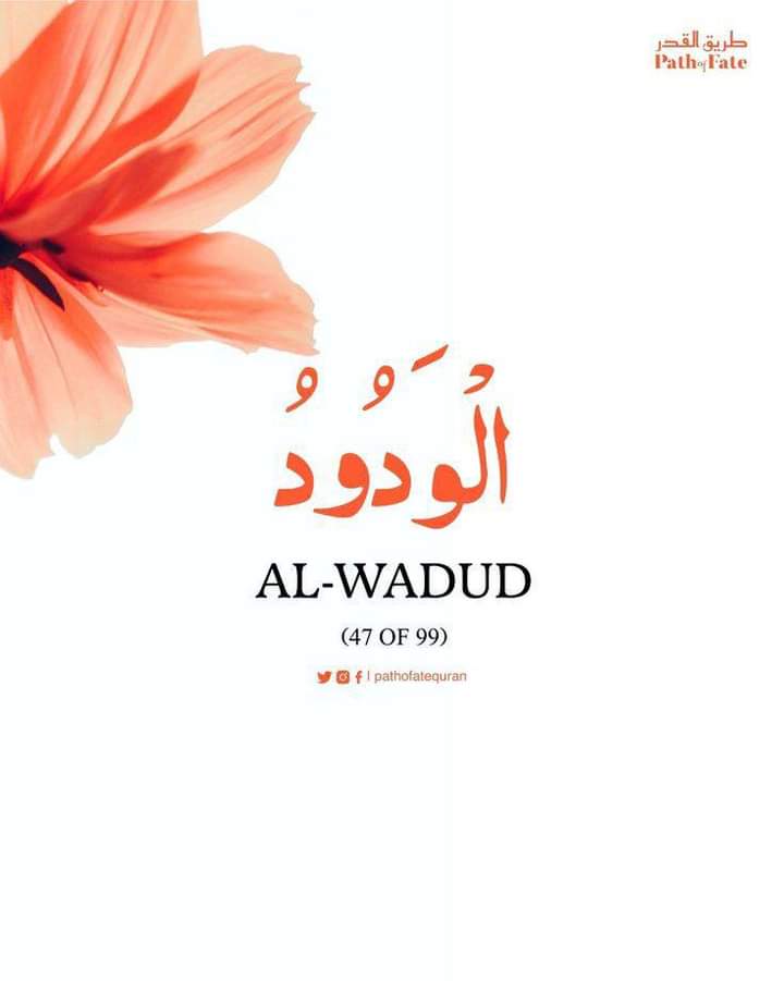 "وَنَحْنُ أَقْرَبُ إِلَيْهِ مِنْ حَبْلِ الْوَرِيدِ ⁦!!🔐📝
اور ہم اس کی رگ جاں سے بھی زیادہ اُس کے قریب ہیں۔✨💜
  #القرآن )📖✨
السلام عليكم ورحمة الله وبركاته🌺🌺