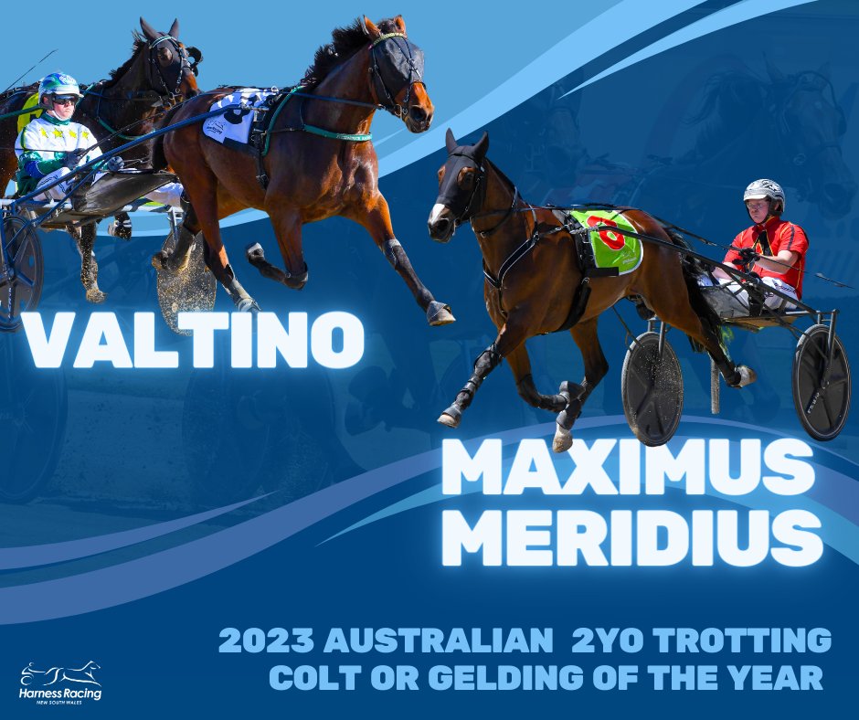 ✨ NSW trotters shine!

Well done to Valtino &amp; Maximus Meridius sharing the joint title of 2023 Australian 2YO Trotting Colt or Gelding of the Year.

Valtino, who won five of  his 10 starts including the Vicbred &amp; Nutrien Finals, and Maximus Meridius won seven of his 10 starts