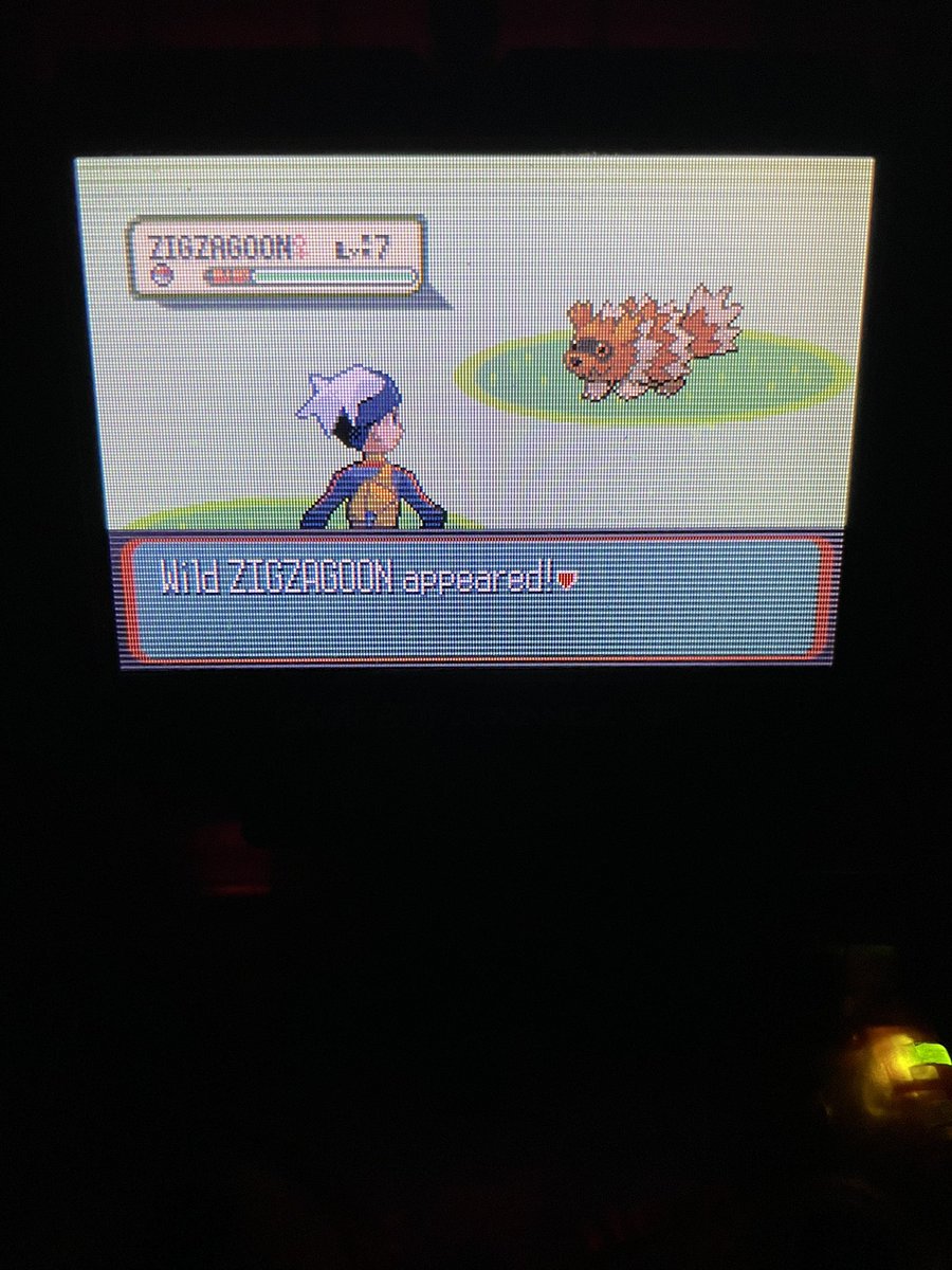 SH_Lucius95's tweet photo. Meant to post this last night. Yes, I am still hunting. Yes, I am still amassing a Zigzagoon army. Phase 4 for Nincada! #ShinyPokemon #Pokemon https://t.co/xKGKEflPM9