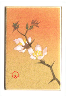 tanjyouka's tweet photo. ４月２４日の誕生花

【枳殻（からたち）】
花言葉：自主自尊：

春、若葉に先立って白い花を咲かせます。非常に鋭い棘があって、他を寄せ付けない孤高感がありますが、 やがてまん丸の実がなると、何やらカドの取れた人生の達人を見るようで、その円満な黄色い実にうっとりさせられてしまうのです https://t.co/jDUUE9hE2r