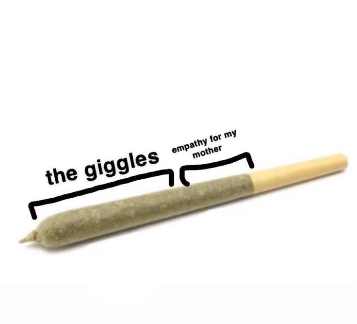 softheadbxcky's tweet photo. realest shit ever!!! https://t.co/OMSnqR9Usu
