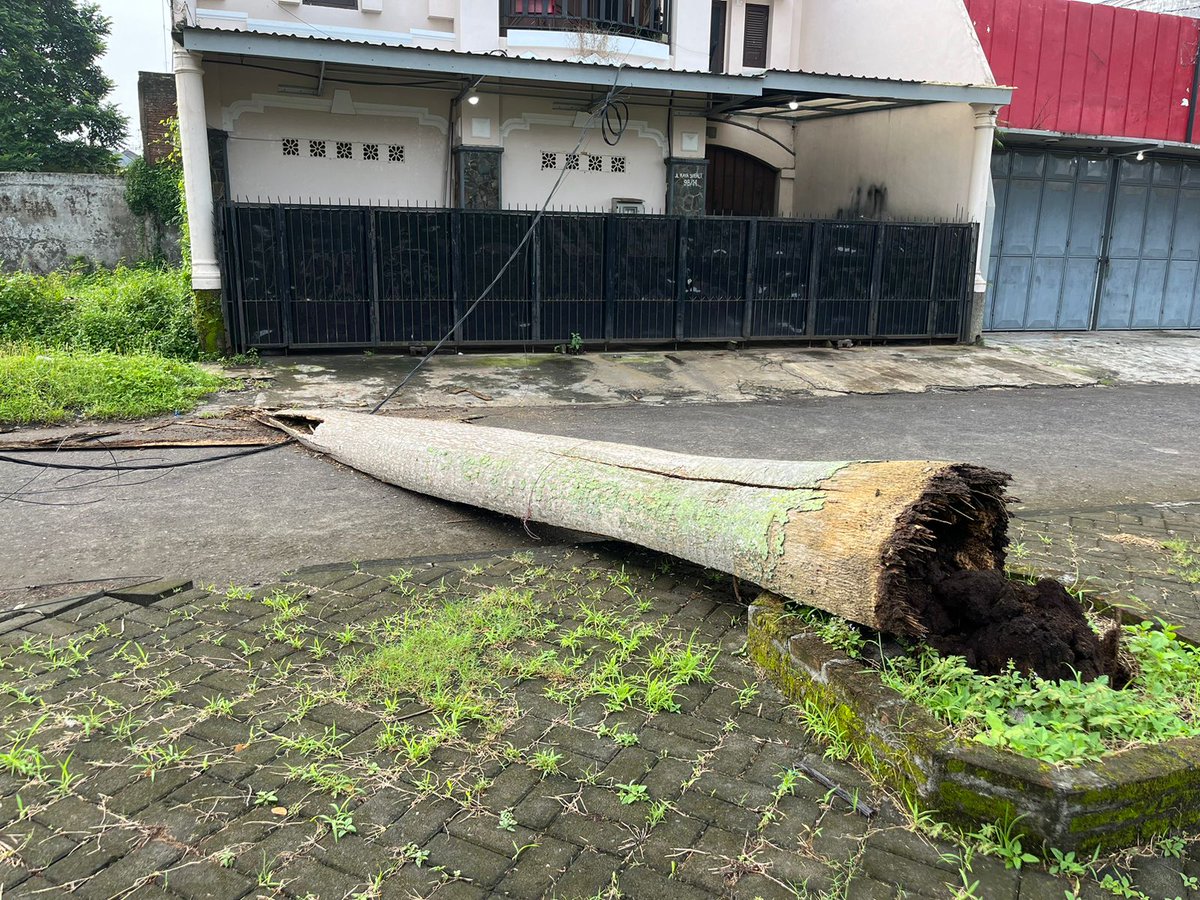 Praba_Prayas's tweet photo. Ijin melaporkan dong kak min @yusufgunawan @infomalang daerah Kapi Sraba, sawojajar 2, sekitar Lapangan Kebo, sekarang di pojoknya dijadikan pembuangan sampah. Hari ini juga ada pohon palem tumbang. Mohon @PemkabMalang lebih memerhatikan daerah sini yak. Terima kasih https://t.co/4frq1auR6w