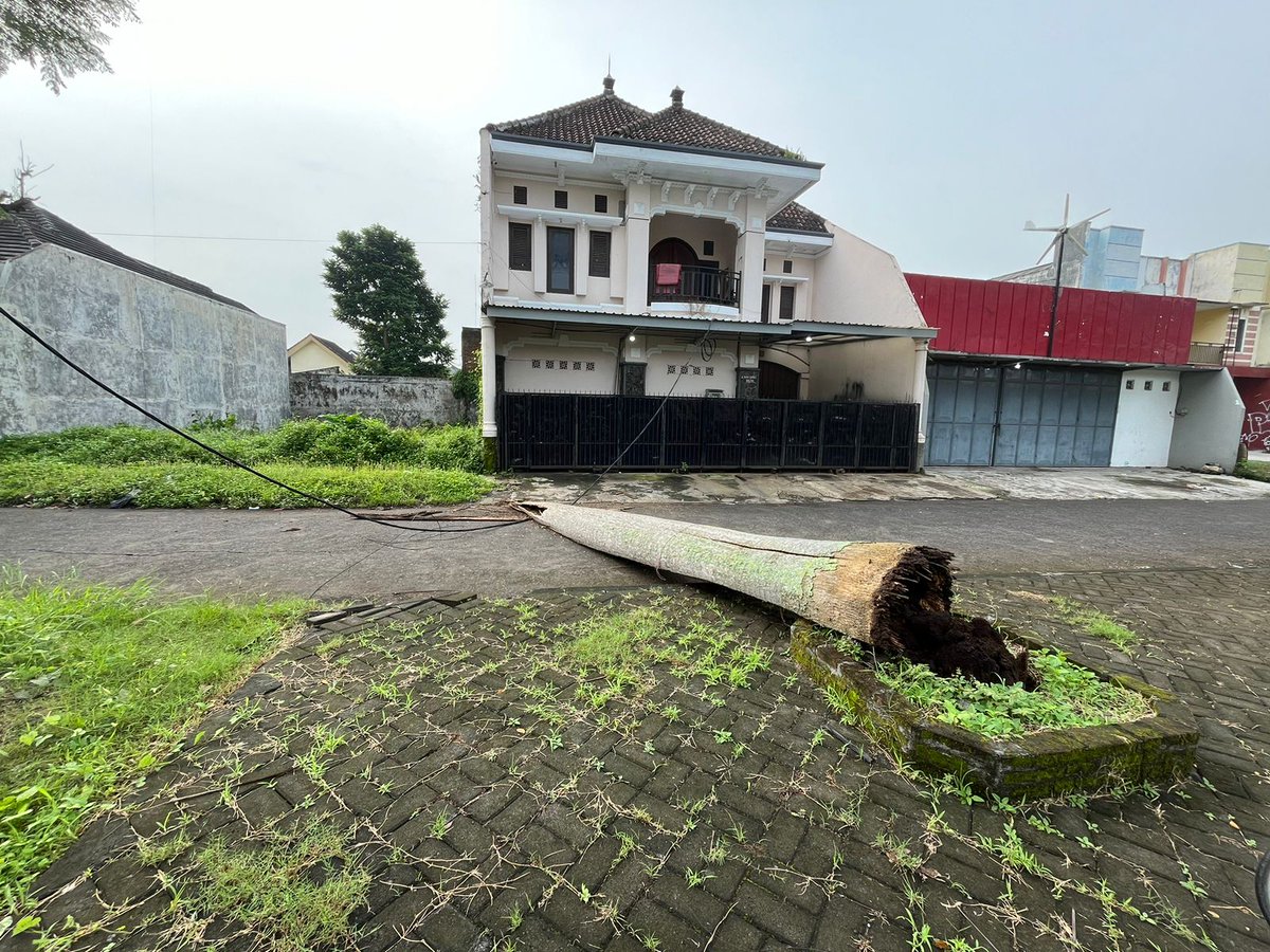 Praba_Prayas's tweet photo. Ijin melaporkan dong kak min @yusufgunawan @infomalang daerah Kapi Sraba, sawojajar 2, sekitar Lapangan Kebo, sekarang di pojoknya dijadikan pembuangan sampah. Hari ini juga ada pohon palem tumbang. Mohon @PemkabMalang lebih memerhatikan daerah sini yak. Terima kasih https://t.co/4frq1auR6w