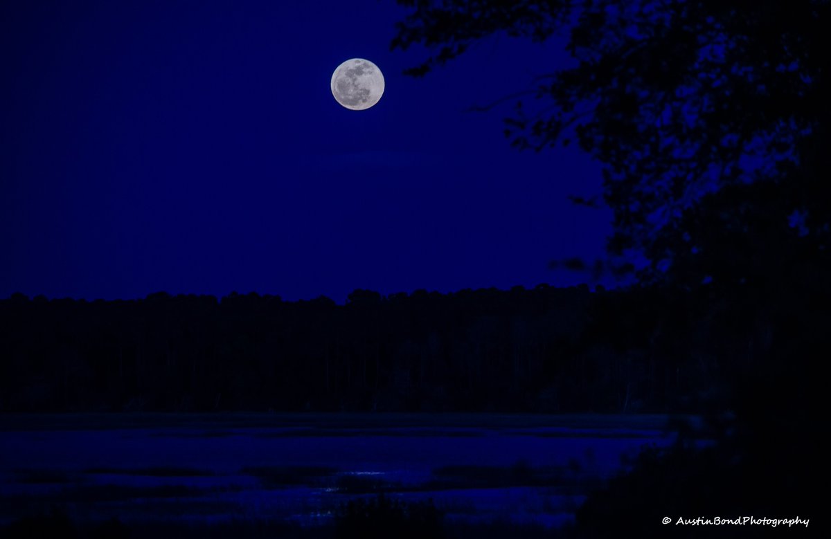 The full moon tonight in Murrells Inlet, SC at HBSP. @SC_state_parks @Discover_SC @JimCantore @AMHQ @bobvandillen @weatherchannel @RealSaltLife @JenCarfagno @wxchanneldesk @natwxdesk @EdPiotrowski @wxbrad @jamiearnoldWMBF @BillWalshTV @RobStormTeam2 @LCWxDave @AndrewWMBF #scwx