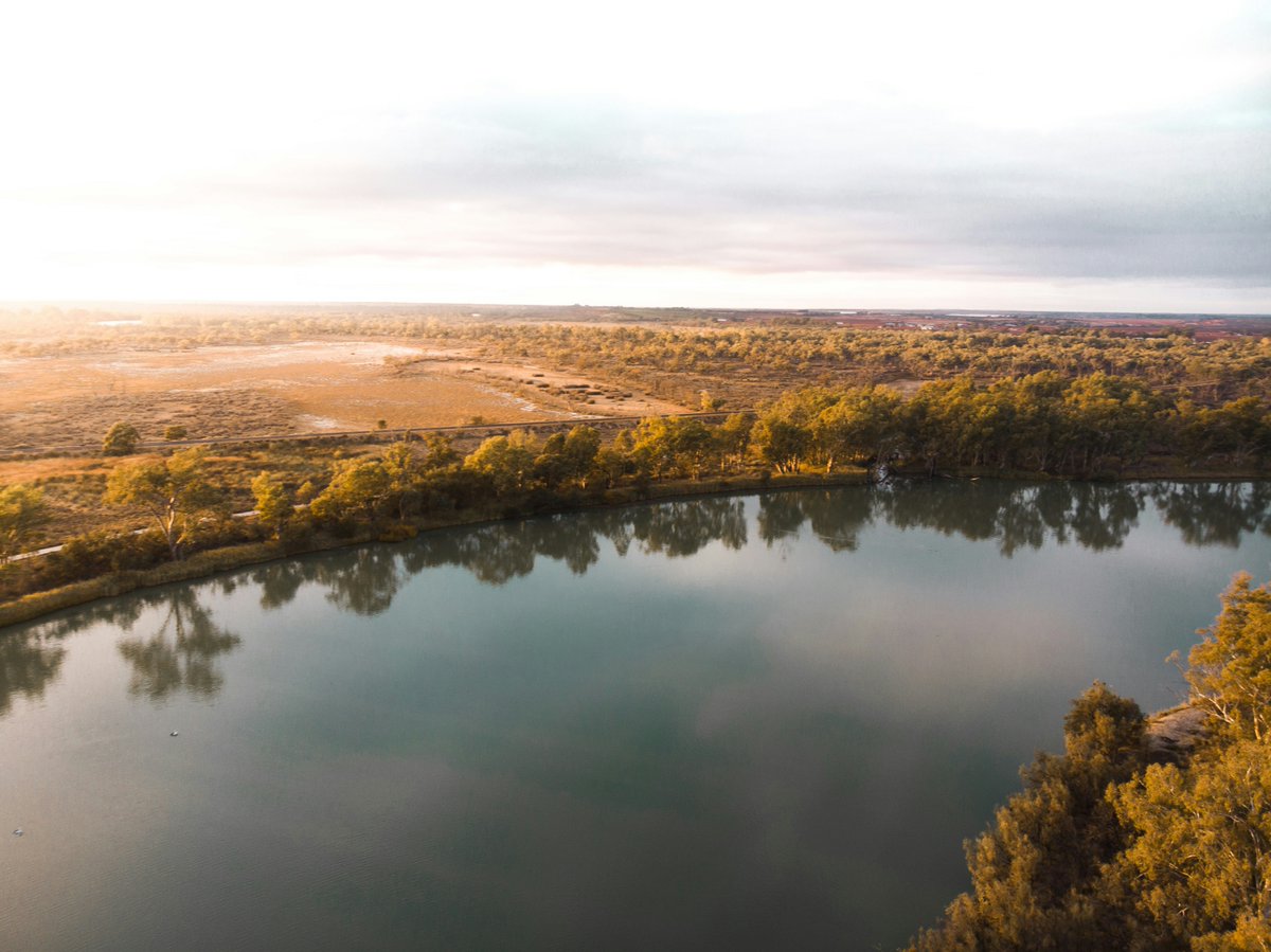 🌊Yesterday we talked to experts from @ATSE_au about how we can ensure a thriving Murray-Darling Basin in 50 years 🔊Have a listen to the briefing here: scimex.org/newsfeed/news-…