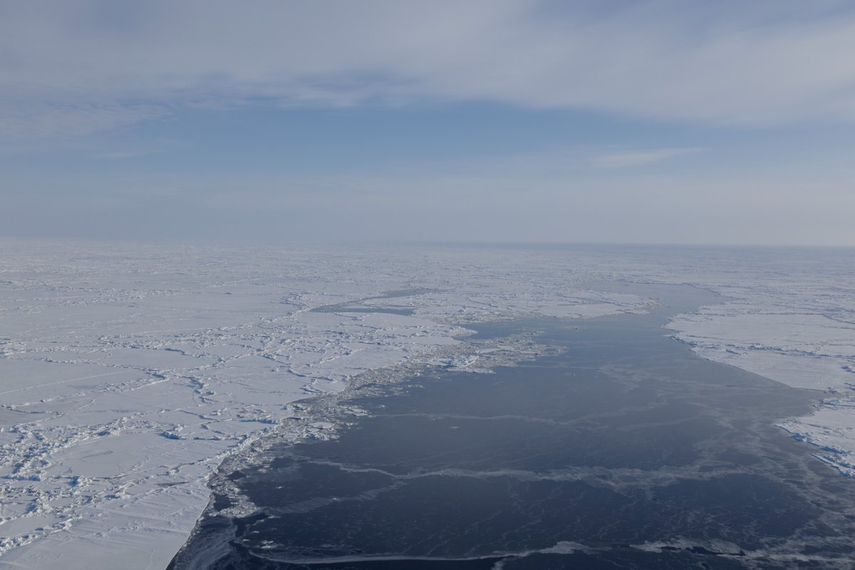 Cold enough today (-20 C / -4 F) that open leads were freezing overnight in Hudson Bay. It may rain on Thursday... Spring polar bear research conditions are always interesting.