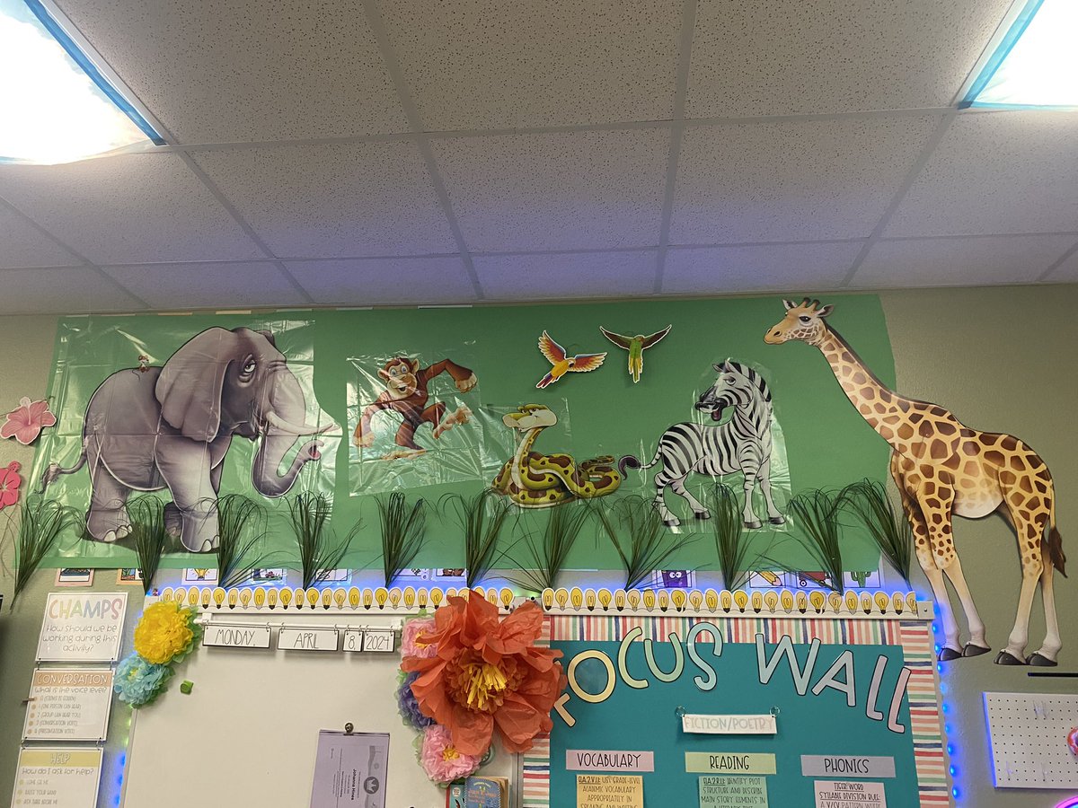 MrsAtkinsin2nd's tweet photo. My 2nd grade readers are in Habitat Heaven! This thematic unit has been a blast so far! We are wrapping up our study of informational text and will start reading stories with these habitats as the setting next week 🐠🦋🐧🦒 @DreamLakeApopka @ClentonMartin https://t.co/IMqvGDhELj