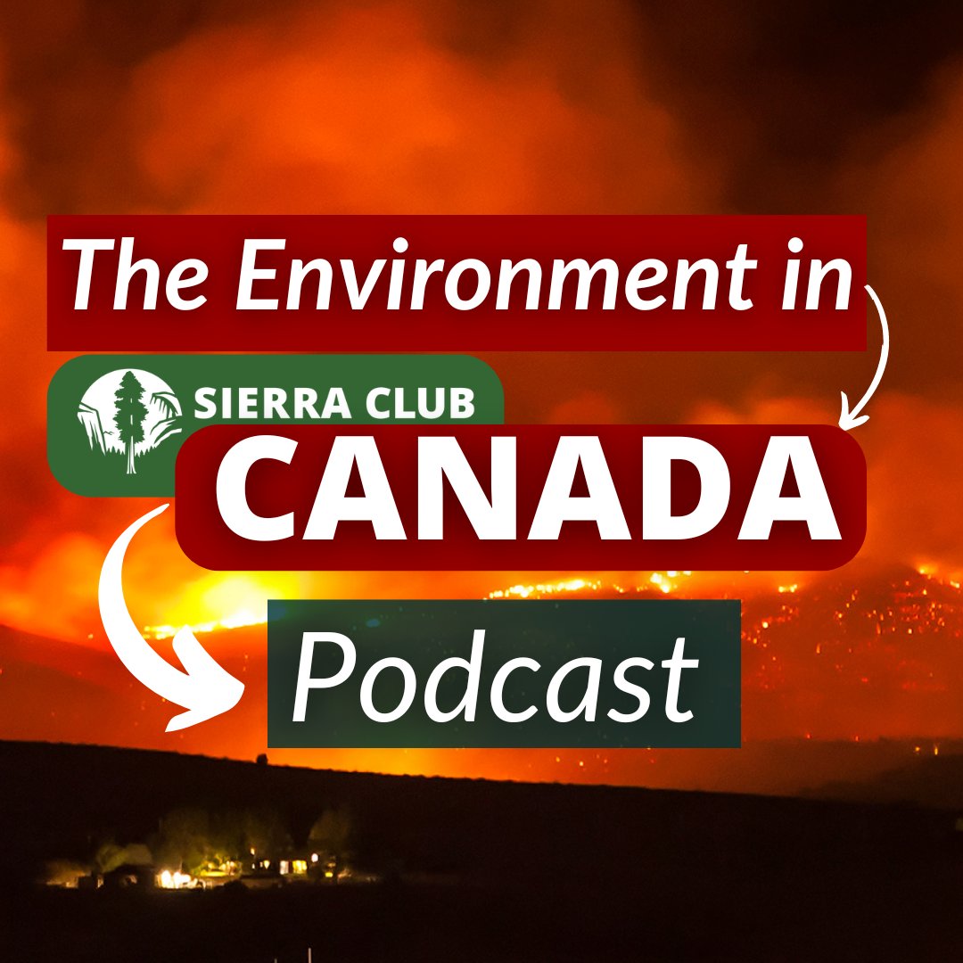 On @SierraClubCan's 🌳THE ENVIRONMENT IN CANADA🌳 ep14 @anatosaurus delves into effective climate communications, the story of Indigenous communities in Ecuador who won against the oil and gas industry and more: podcasts.apple.com/us/podcast/com… harbingermedianetwork.com 🔶