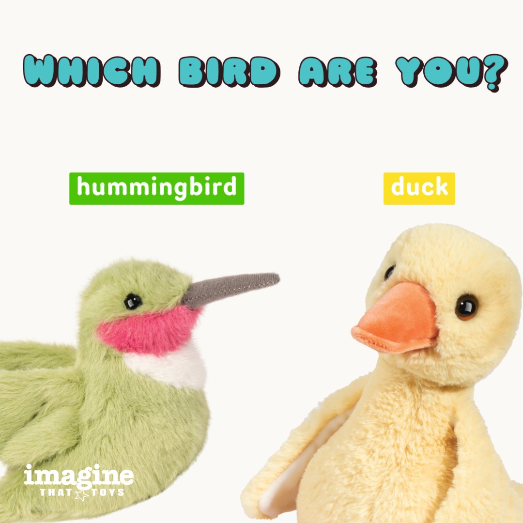 ImagineThatKS's tweet photo. A Taylor Swift song comes on the radio....are you the "hum"mingbird or duck for cover?
#Swiftee #HummingBird #Duck #Radio #ImagineThatToys https://t.co/FDyooAlCNI