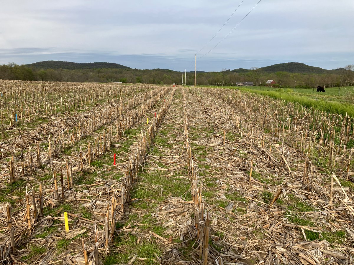 Great day to pull 144 soil samples and collected data from our Rezadone corn residue management field trial. brandt.co/media/18858/br…