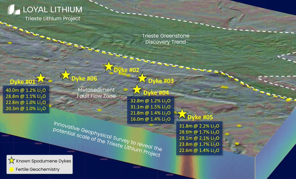 Loyal Metals tweet media