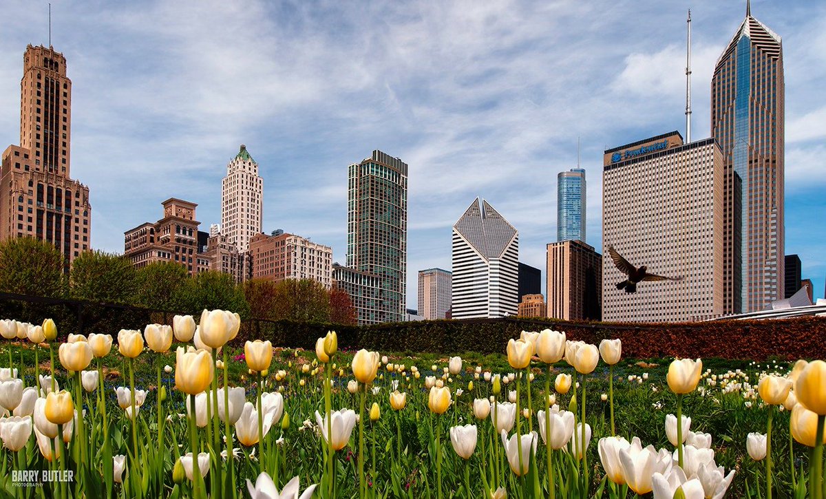 Edgar Lerma, Chicago-based Nephrologist #NephJC🌷 Photo Credit: Barry Butler Photography 📷 barrybutlerphotography.com