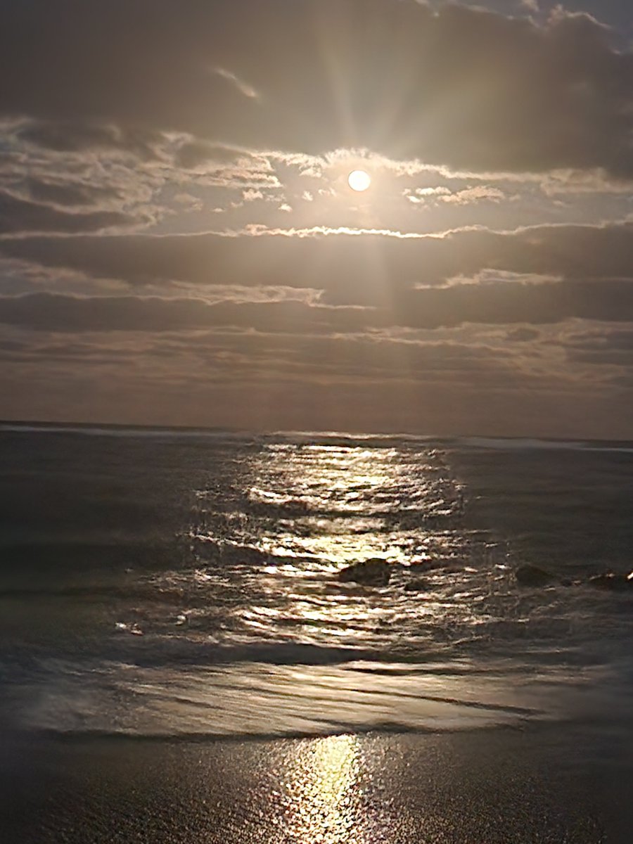 Spectacular #moonrise in beautiful Boynton Beach, Florida. 🌕🏝🧜‍♀️🧜‍♂️🐠✨️💛🐚🌴🌳 @boyntonbeachrec @cityofboynton @VISITFLORIDA @born_saltwater @FloridianCreat1 @BeInspiredFL @PalmBeachesFL @LuxTravelHotels @AuthenticFL @AventuraRI #fullmoon #MOONLIGHT