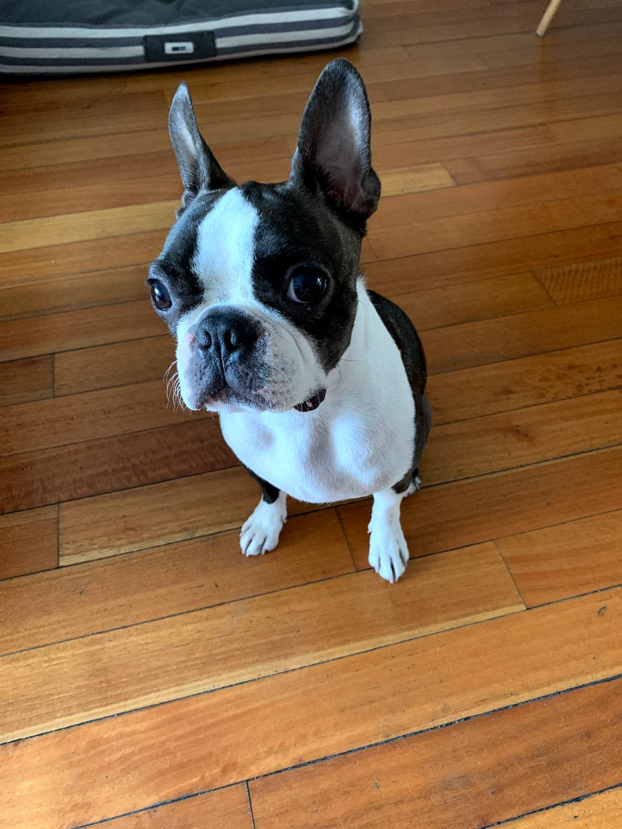 ale_ciz's tweet photo. @igroegthealien Milo Porter, aka "Milonga" o "chicho" para los más íntimos... https://t.co/dk6P0Icd8U
