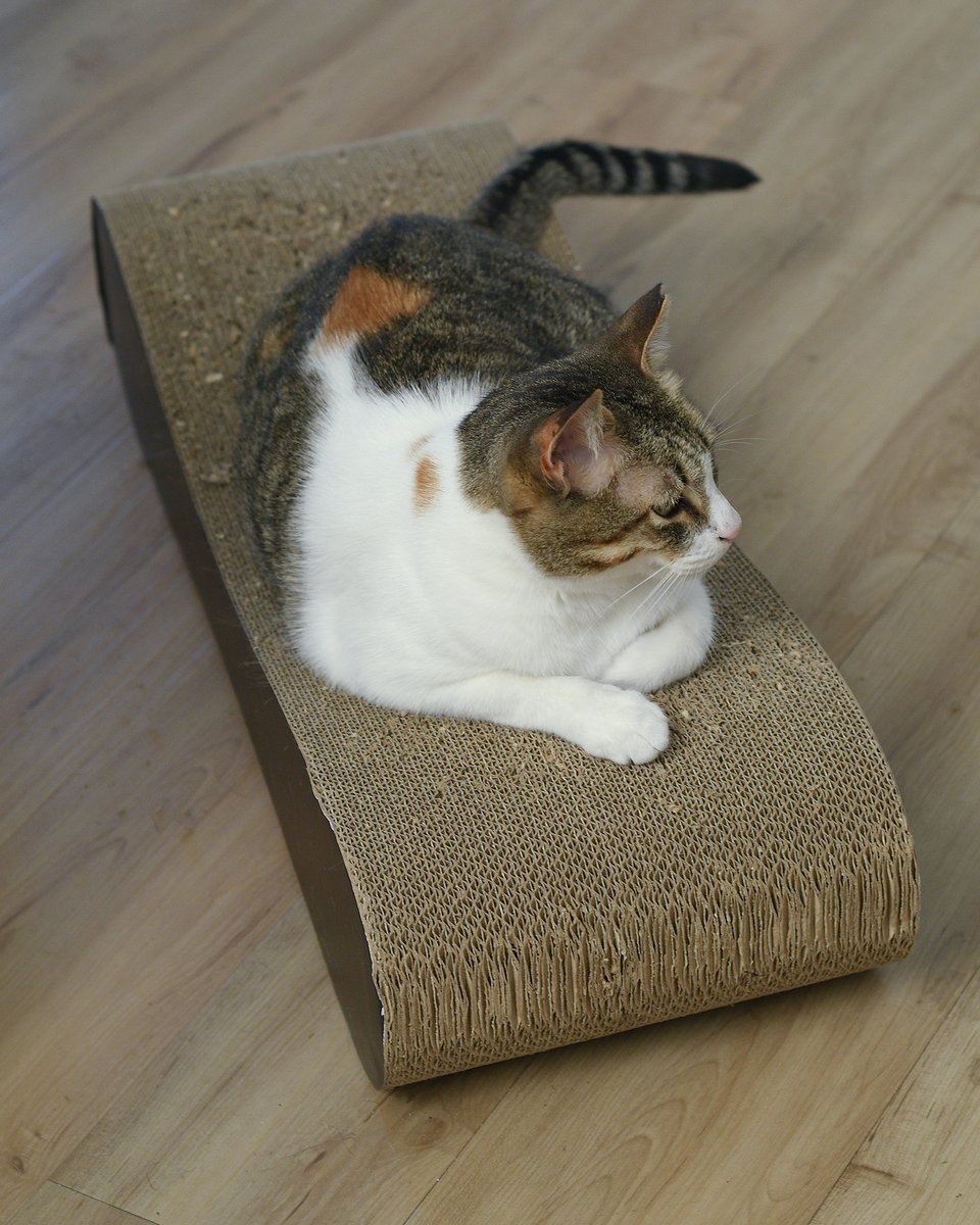 Rick Keller. Healthy living works — and rocks!💪🏼 tweet media