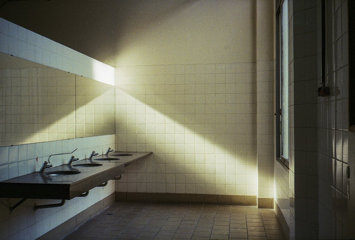 suffer rosa tweet media