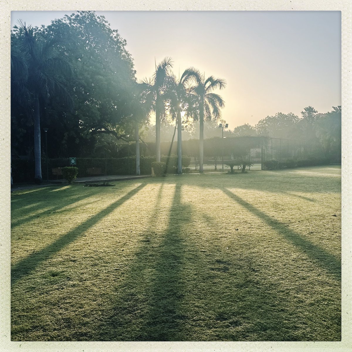 Misty dawn @UKinIndia, #Delhi