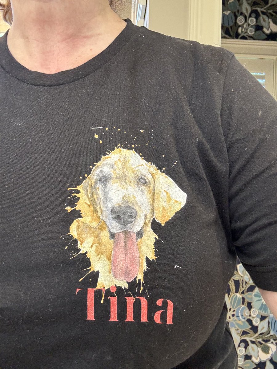 BowDarrow's tweet image. Wearing my Tina tee today!  Please support ⁦@NiallHarbison⁩ and his mission to save street dogs, everywhere. #HappyDoggo