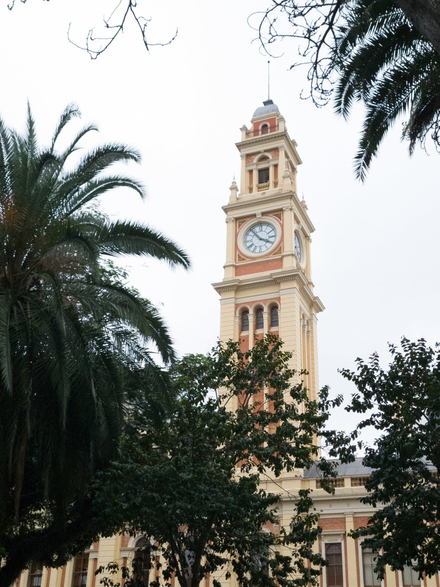 BrilhoDesign's tweet photo. Poucos parques em SP ficam próximos ao Metrô ou à CPTM. O Jardim da Luz é tão perto que dá pra vero relógio da estação.

#Relógio #clock #Torre #Tower #estação #TrainStation #luz #jardimdaluz #parquedaluz #parque #park #praça #square #jardim #garden #sp

https://t.co/VO2NCs6APF https://t.co/jdkdsMPhI6