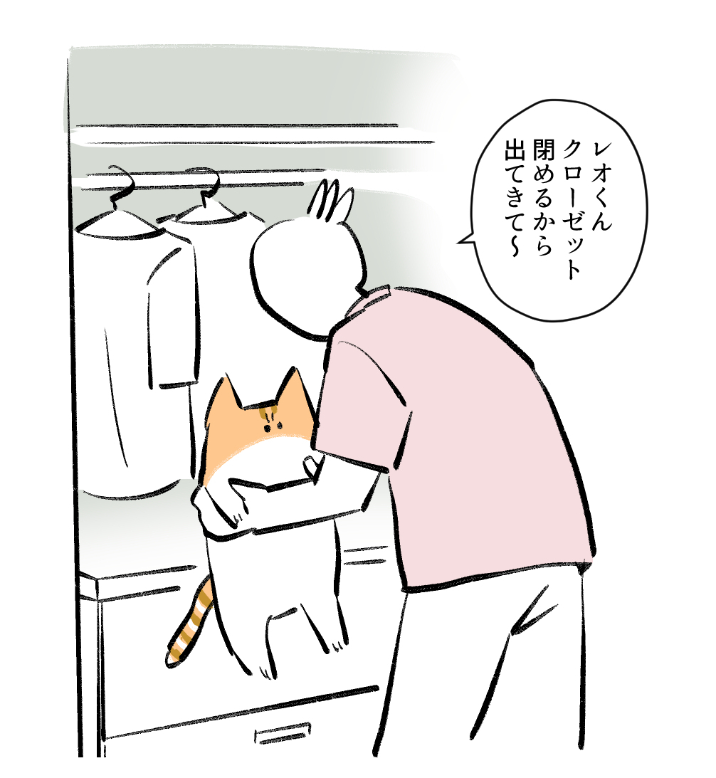 安易にクローゼットに近づけない日々が続いてる #秀さんちのゆるねこ日記 