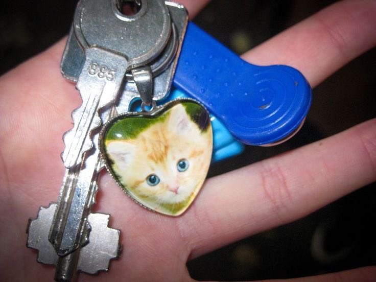 Charlie (,,◕ ⋏ ◕,,) tweet media