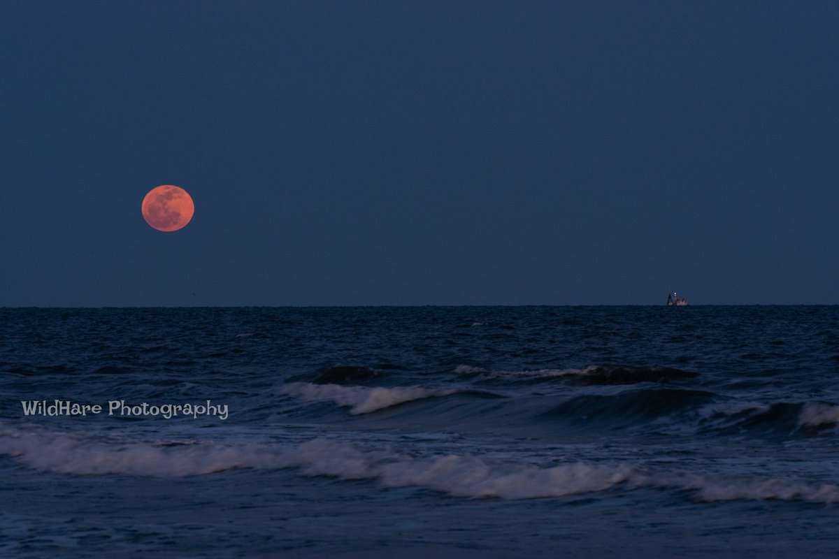 Full Moon Shrimpin Seabrook Island SC