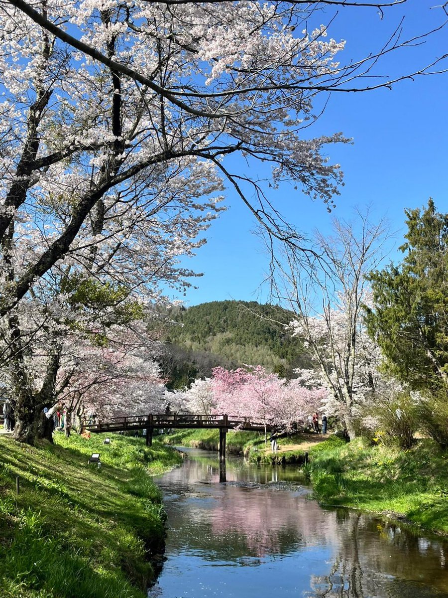 Margaret tweet media