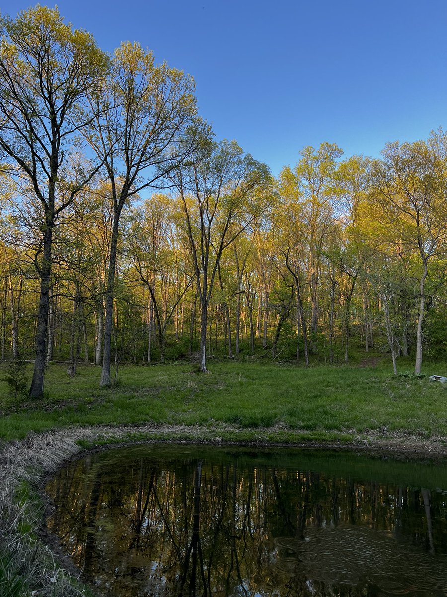 AngelaSuttner's tweet photo. I got out and enjoyed the evening doing what I love most.. sitting in the woods at the pond feeding the goldfish, riding across the ridges to get a top of the hill view and stopping for pictures along the ride! #calming #BeautifulEvening #Sunsets #FarmRide More than anything being out in nature helps my grief. 🥰