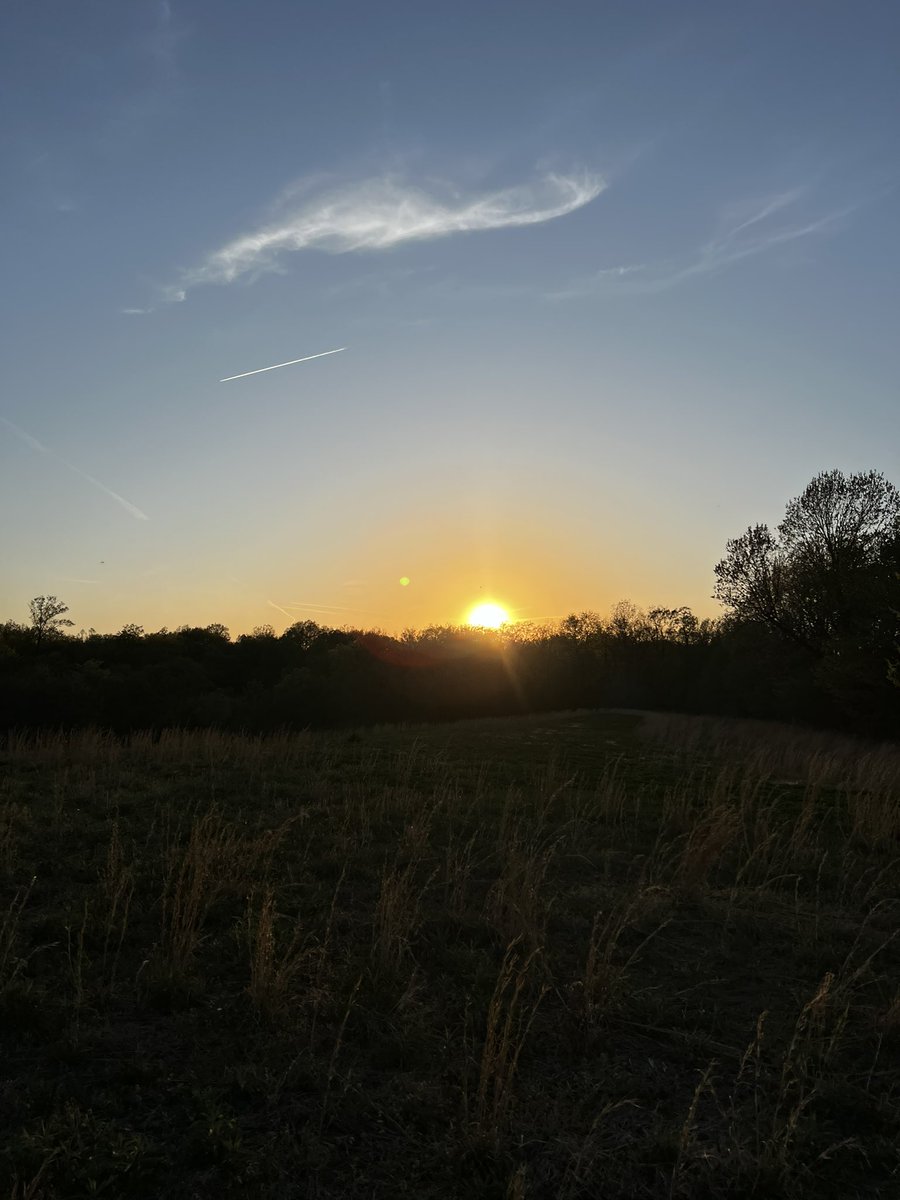 AngelaSuttner's tweet photo. I got out and enjoyed the evening doing what I love most.. sitting in the woods at the pond feeding the goldfish, riding across the ridges to get a top of the hill view and stopping for pictures along the ride! #calming #BeautifulEvening #Sunsets #FarmRide More than anything being out in nature helps my grief. 🥰