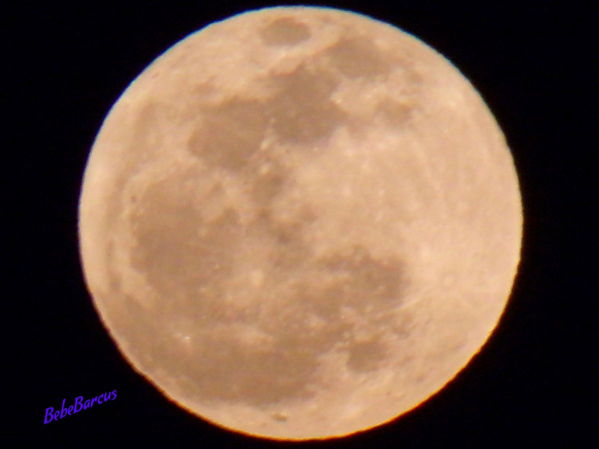 Full Pink Moon over North Port. 🌙🖤
 #welivehere  #FLwx #twitternaturecommunity #StormHour #thephotohour #accuweather #weathernation #foxweatherdesk #moon #nightphotography #fullpinkmoon #Florida #fullmoon