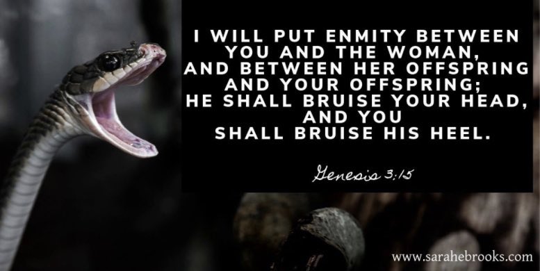 One thing the last day has shown me is that there is a strong enmity between the serpent and women—Satan really doesn’t want women to be treated with equal honor to the man.