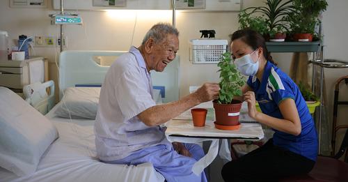 #Garden by the bed: Bringing #nature and #healing to #hospital #patients. Read: tiny.cc/8s3uxz #seniors #elderly #eldercare #Horticulture #therapy #dementia #alzheimers #sancareasia