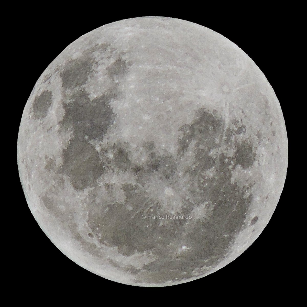 📸 “Luna Llena Rosa” (aunque mantiene su característico color blanco).

23.04.24 - <a href="/Rosariociudadok/">RosarioLaCiudad</a>