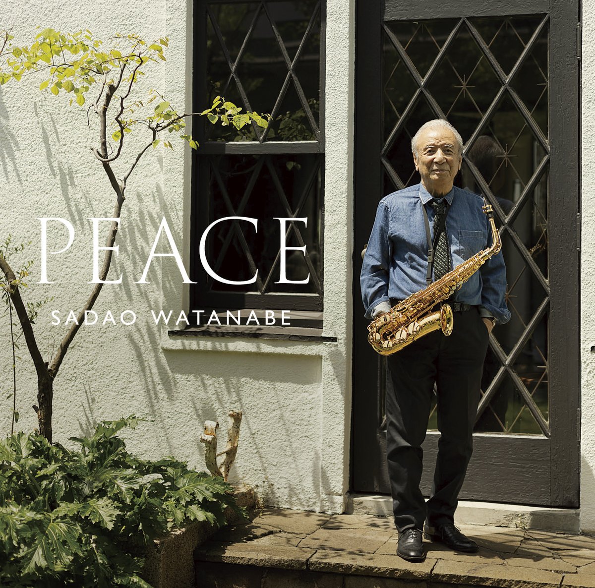 Sadao_Watanabe's tweet photo. 本日発売!
バラードアルバム『PEACE』
よろしくお願いします。
Available now!
『PEACE』
Check out the newest ballad album.
#渡辺貞夫
#SadaoWatanabe #PeaceAlbum
#RussellFerrante
#BenWilliams
#IttetsuTakemura
#竹村一哲 https://t.co/xrrGyXKfeU