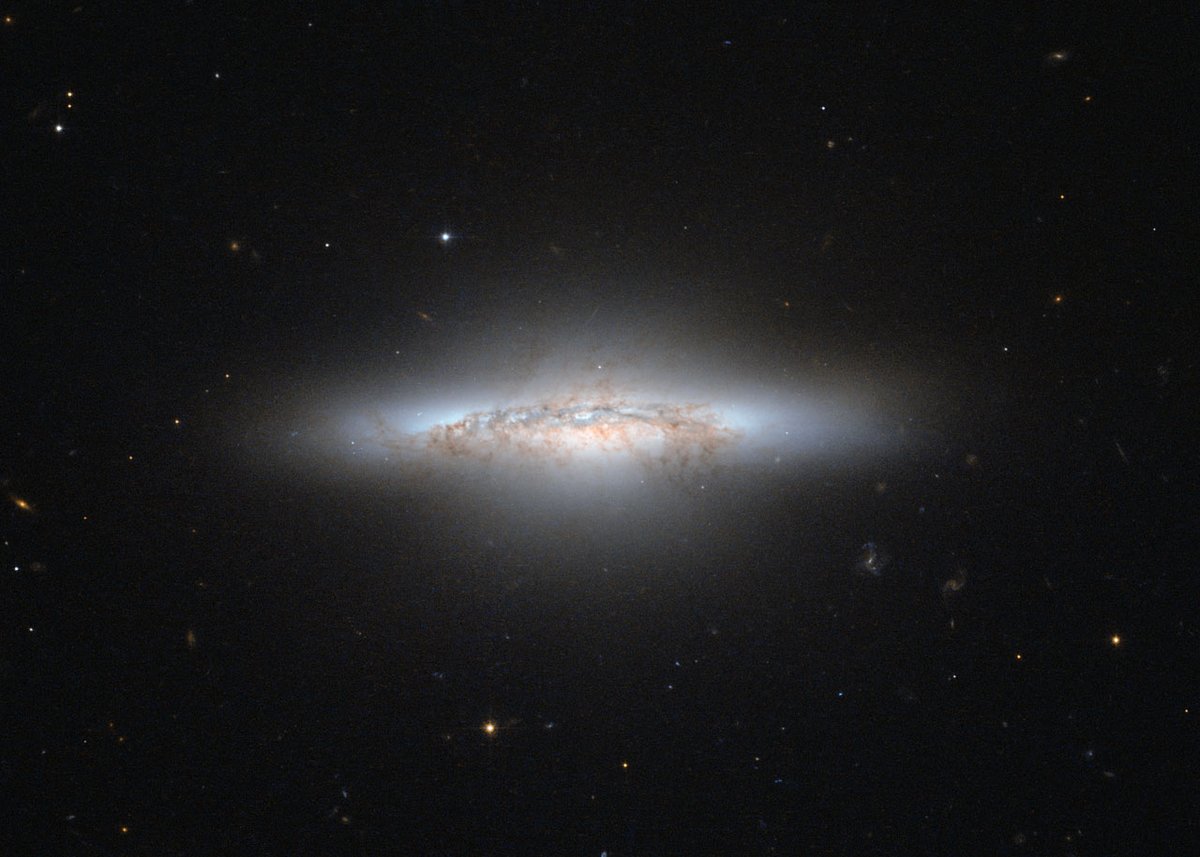 Day 465 - Galaxy NGC 5010 📷Hubble #Space #Astronomy #Hubble