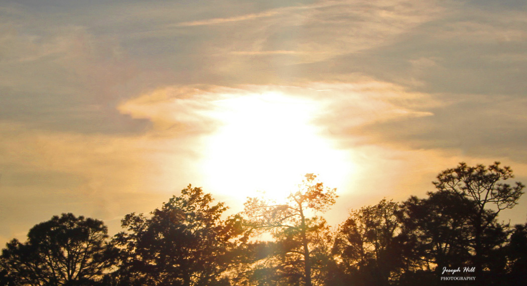 Sunset☀️☁️🌳 
#April2024
Photo By: Joseph Hill🙂📸☀️

#sunset #bright #Cloudy #sky #sunlight #trees #nature #spring #beautiful #colorful #awesome #peaceful #daytime #sunsetphotography #NaturePhotography #SouthernPinesNC #April