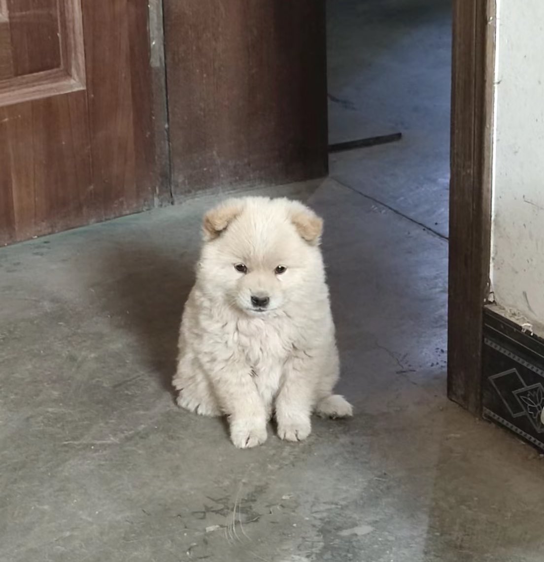 เก่าเกินไปที่จะให้เทอหอมรึป่าว